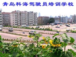 科海驾校