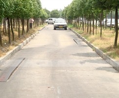金成驾校